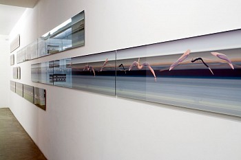 MOTION STUDIES&nbsp;