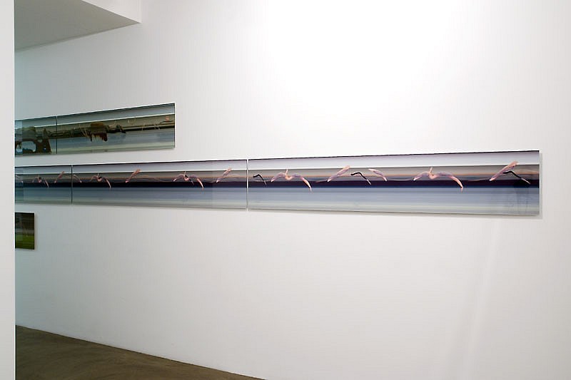 MOTION STUDIES - Installation View