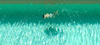 Work: CONSTANTINO SOTT-ACQUA #1, 2007 Cetona, IT