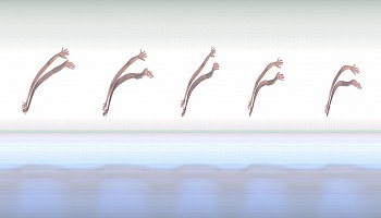 Dance: Priscilla Malibu:&nbsp;PRISCILLA ELECTRIC LODGE 3-2, 2007 Venice CA