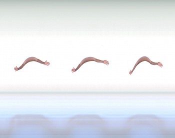 Dance: Priscilla Malibu:&nbsp;PRISCILLA ELECTRIC LODGE 4-1, 2007 Venice CA