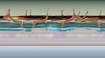 Dance: Priscilla Malibu:&nbsp;PRISCILLA ELECTRIC LODGE 38-5, 2007 Venice CA