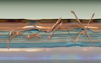 Dance: Priscilla Malibu:&nbsp;PRISCILLA ELECTRIC LODGE 39-5, 2007 Venice CA