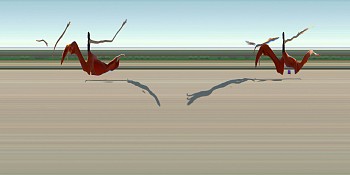 Dance: Priscilla Malibu:&nbsp;PRISCILLA MALIBU SUNSET 7-4, 2007 Malibu CA