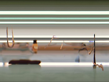 Work: TAICHI MOTION STUDY 20, 2005 Los Angeles CA