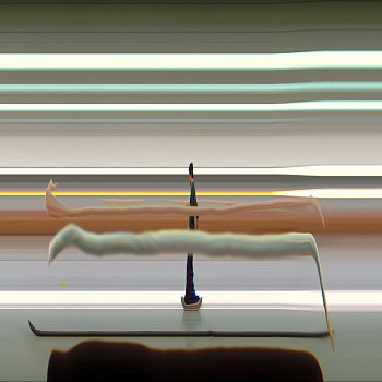 Work: TAICHI MOTION STUDY 22, 2005 Los Angeles CA