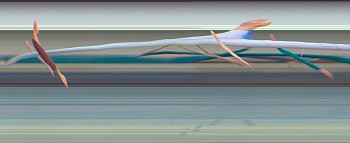 Taichi:&nbsp;TAICHI MOTION STUDY 107, 2005 Los Angeles CA