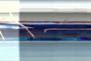 Taichi:&nbsp;TAICHI MOTION STUDY 110, 2005 Los Angeles CA