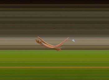 Work: TAICHI MOTION STUDY 147, 2005 Los Angeles CA