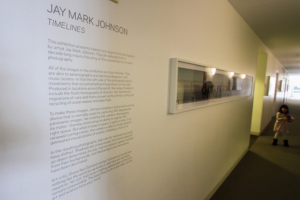 TIMELINES - Installation View