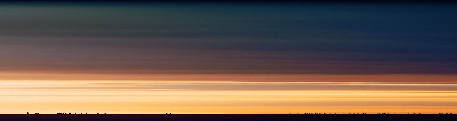 Jay Mark Johnson, MAASAI MARA #3, 2014 Maasai Mara
archival pigment on paper, mounted on aluminum, 40 x 150 in. (101.6 x 381 cm)