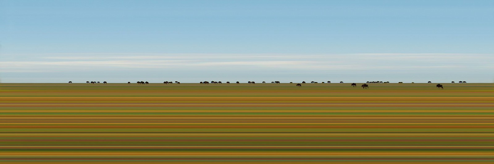 Jay Mark Johnson, MAASAI MARA #90, 2014 Maasai Mara
archival pigment on paper, mounted on aluminum, 40 x 120 in. (101.6 x 304.8 cm)